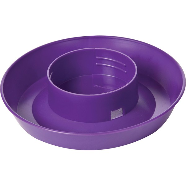 Screw On 1 Quart Poultry Water Base [Set of 5] Color: Purple