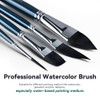 Transon 10pcs Natural Watercolor Paint Brush Set Professional for Watercolor