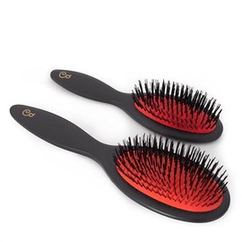 L'Artisan Brossier - Duo Pneumatic Hair Brushes - Nylon 63% Organic Tipped - Gift Box Brushes Large and Small, 100% Vegan, Injected Resin Handle