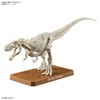 Bandai Spirits Planosaurus Tyrannosaurus Color Coded Plastic Model