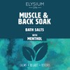 Elysium Spa Muscle & Bath Soak with Menthol