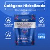 COLAGENO HIDROLIZADO CON CLORURO DE MAGNESIO Y ACAI - 500