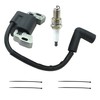 799582 Ignition Coil 84005272 Magneto Armature for BS 08P502 09P602