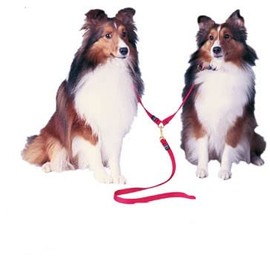 Adjustable Double Dog Leads - Small - Burgandy - Walk Two Dogs at Once