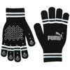 NO.1 Logo Magic Gloves, 22 Fall/Winter Colors: Puma Black/Light Aqua