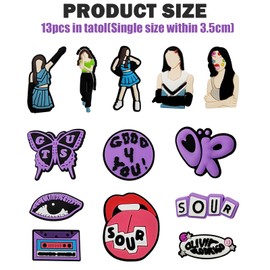 BDSHUNBF 13PCS Shoe Charms, Shoe Charms for Clog, Shoe Accessories, Shoe Decoration, Singer Shoe Decoration, for Adults Teens Kids