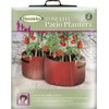 Haxnicks Patio Planter Tomato 2Pcs