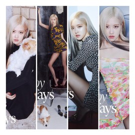 Rose W Magazine 2023 Volume 12 (D ver.)