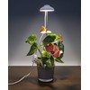 Northpoint LED 7 W Plant Light Plant Lamp Plant Lighting