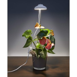 Northpoint LED 7 W Plant Light Plant Lamp Plant Lighting 70 cm Telescopic Rod White Light Colour Timer Function