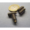 18-8 Stainless Steel Brass Tip Set Screw 1/4"-20 x .500"