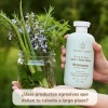 Shampoo Orgánico Artesanal Sábila Romero Verbena Kit 2pzs