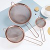 Kyraton Rose Gold Fine Mesh Strainer 3 Pieces Set, Copper