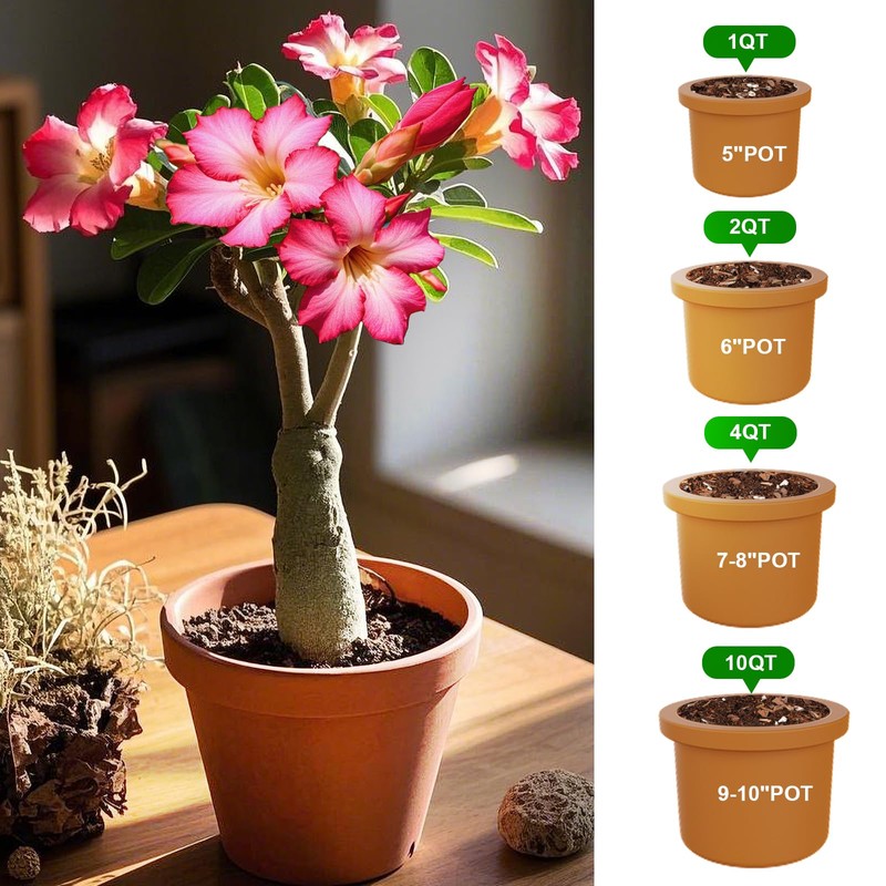 Doter Organic Desert Rose Potting Soil Mix for Healthy Growth