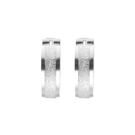 Edforce Stainless Steel Small Huggie Hoop Earrings for Women (Brushed Silver)