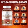 Energizen Cinnamon + Chromium Gummies - 120 Vegan Gummies -