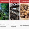 Dried Shiitake Mushrooms 7.05 Ounces, Quick Hydration, Soft Texture, Fresh