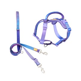 DF Freedom No Pull Martingale Dog Harness and Leash Set, Safety Control to Stop Pulling, Reflective and 5 Point Adjustable, Padded Handle for Easy Support, Rainbow Pro, 1", Chest 22.4" - 30.4"