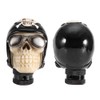 QANYEGN Skull Gear Shifter, Skull Head Gear Shift Knob, Car
