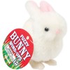 Toysmith Fuzzy Bunny Wind Up Toy