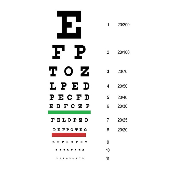 Snellen Eye Chart Planner: Monthly Planner for Optometrists, Ophthalmologists, or