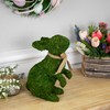 Northlight Standing Moss Easter Rabbit Figurine - 10"
