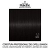 Colorazione Professional Performance 1_1 Palette Black