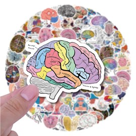UBOFUGS 50 Pcs Brain Stickers Pack | Colorful Brain Stickers Vinyl Waterproof for Scrapbook,Journaling,Laptop,Bumper,Skateboard,Water Bottles,Computer,Phone,Cartoon,Hard hat,Car Stickers