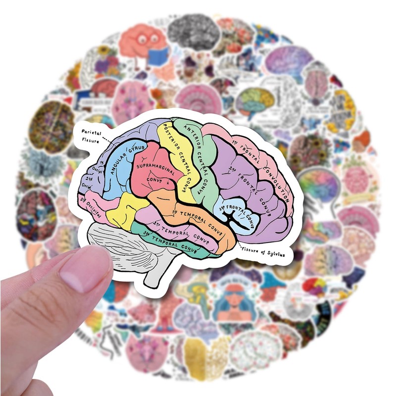 UBOFUGS 50 Pcs Brain Stickers Pack | Colorful Brain Stickers