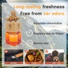 IKEDA Car Air Freshener, Car Fresheners for Men & Women,