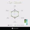 Hillkoff Coffee Beans from Northern Thai Arabica 100% Mae Au