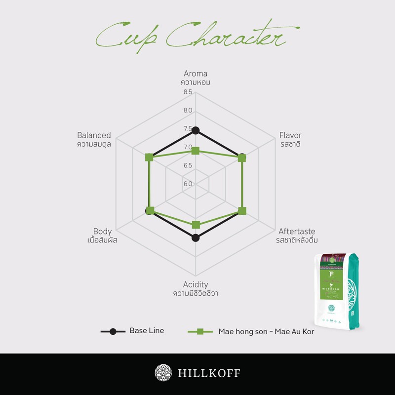 Hillkoff Coffee Beans from Northern Thai Arabica 100% Mae Au