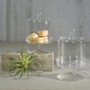 AREOhome HomArt 3851-0 Vera Glass Dome and Pedestal, 7.25-inch Height