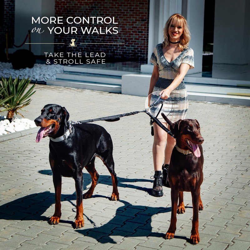 Premium Double Leash for Two Dogs – Shock Absorbing Anti