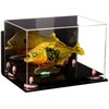 Better Display Cases Versatile Acrylic Display Case - Medium Rectangle