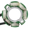 Celox Stator for Suzuki RMZ250 RMZ 250 2005 2006 /