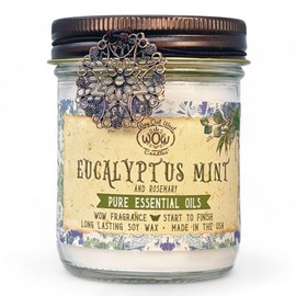 Scented Candle for Home by Way Out West Candles - Long Lasting Home Fragrance or Essential Oils - Small Candles Gifts for Women - 8 Oz Eucalyptus Mint Natural Aromatherapy Soy Candles - Made in USA