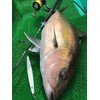 Nature Boys WR1160-15K Wiggle Rider Lure Nakui Glow Orange 5.6