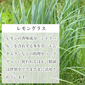 Natural 100% Essential Oil (10 ml, Lemongrass)
