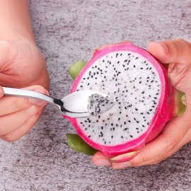 YFOX Fruit Spoon, Stainless Steel Spoon, Grapefruit Spoon, Dessert Spoon, Scratching Spoon, Serrated Edge, Pack of 2