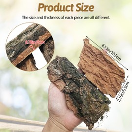 BNOSDM Reptile Cork Bark Substrate 10oz Tortoise Bedding for Habitat Natural Flat Cork Wood Bulk Terrarium Reusable Champagne Bark for Lizard, Crested Gecko, Spider, Chameleon, Ball Python, Tree Frog
