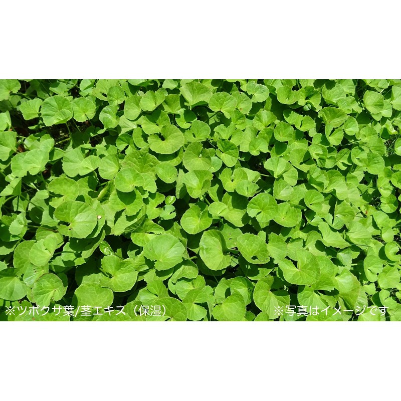 Uyu Beauty Serum, 1.0 fl oz (30 ml)