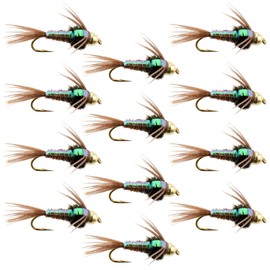 The Fly Fishing Place Tungsten Bead Head Nymph Fly Fishing Flies - Flashback Pheasant Tail Trout Fly - Nymph Wet Fly - 12 Flies Hook Size 12