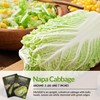 Survival Garden Seeds - Michihili Napa/Nappa Cabbage Seed for Planting