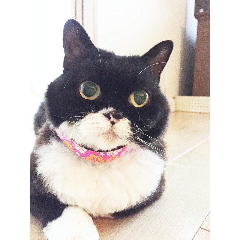 Beastie Bands Cat Collar Bubble Duck