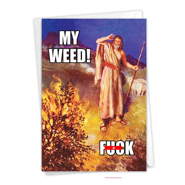 NobleWorks Humorous Birthday Greeting Card with 5 x 7 Inch