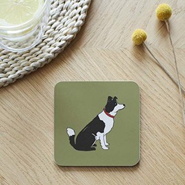 Sweet William Border Collie Coaster