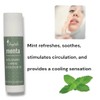 6er Set Bio Lippenbalsam - 100% natürlich - 6 Geschmacksrichtungen