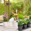MoFarbe Herb Pots for Kitchen & Windowsill | Kitchen Herb