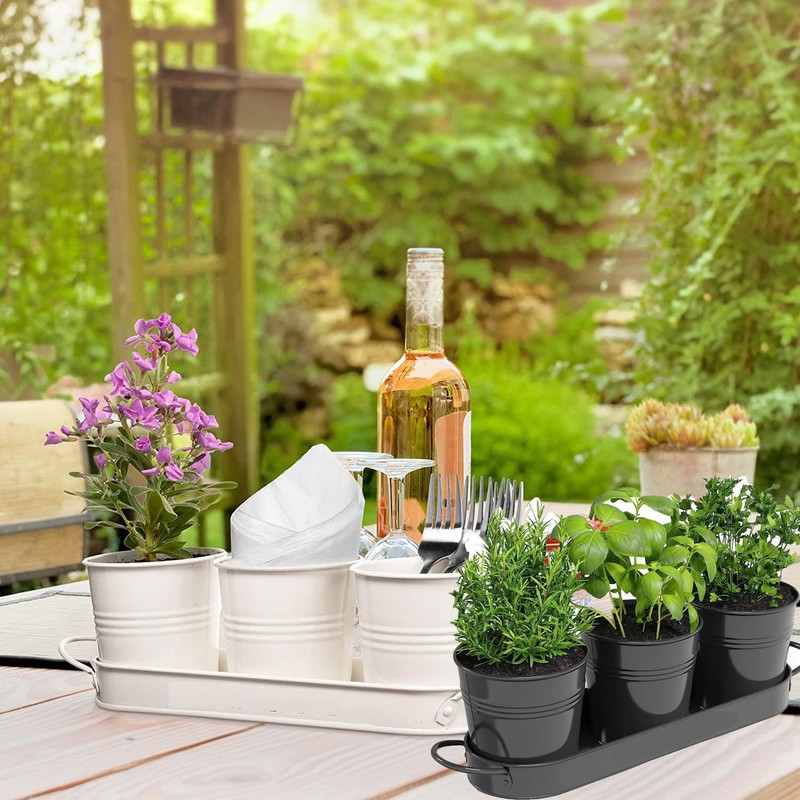 MoFarbe Herb Pots for Kitchen & Windowsill | Kitchen Herb